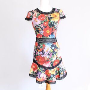Alice and Olivia Floral Rapunzel Fit Flare Dress 0